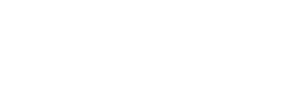 Intellectual Point Logo